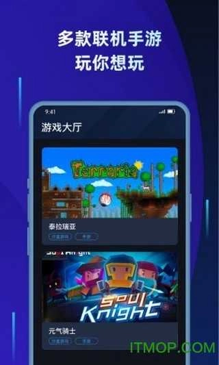 蒲公英联机平台最新版图4