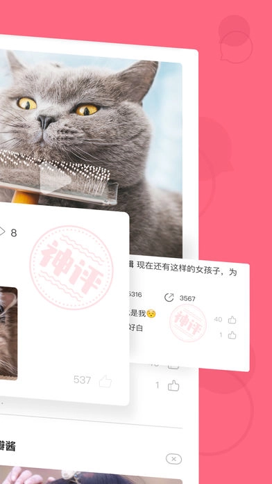 皮皮虾软件安卓官方版图3
