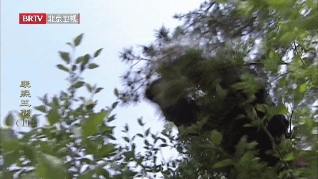 全球电视直播免费版