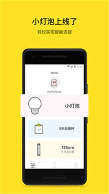 PUPUPULA图2