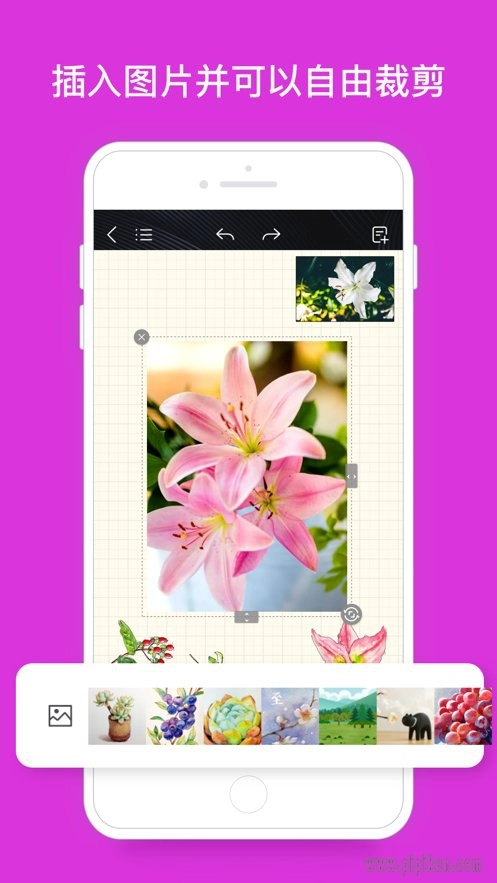 千本笔记软件手机版图2