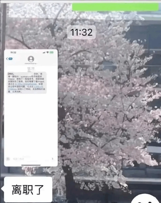 曝携程错发全员离职通知网友热议：工作中能捅出多大的篓子