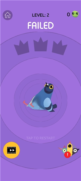 疯狂的鸽子免费版安装下载