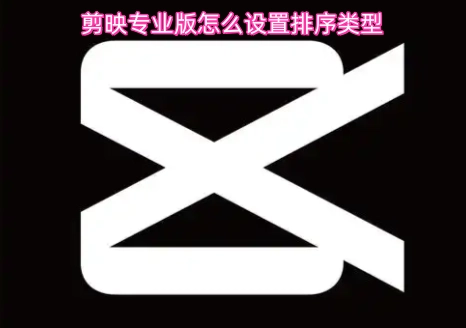 剪映专业版的排序类型要如何设置呢