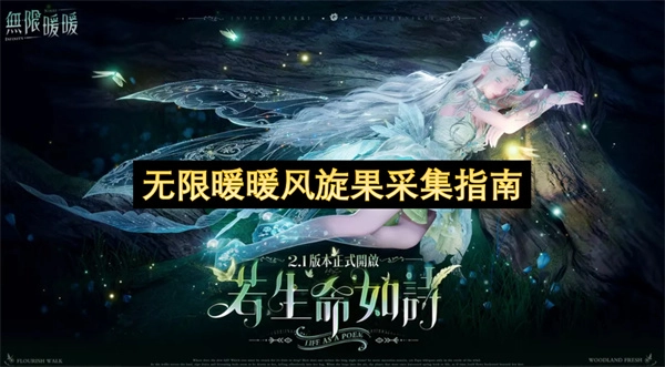 无限暖暖风旋果获取实用指南