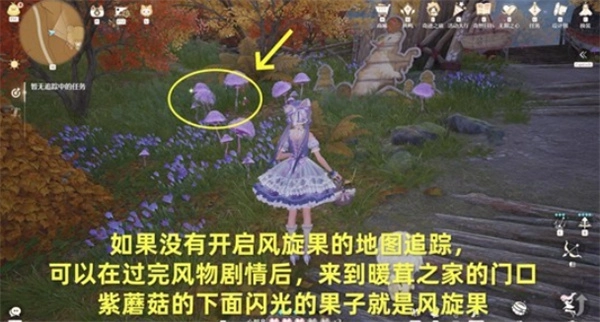 无限暖暖风旋果获取实用指南