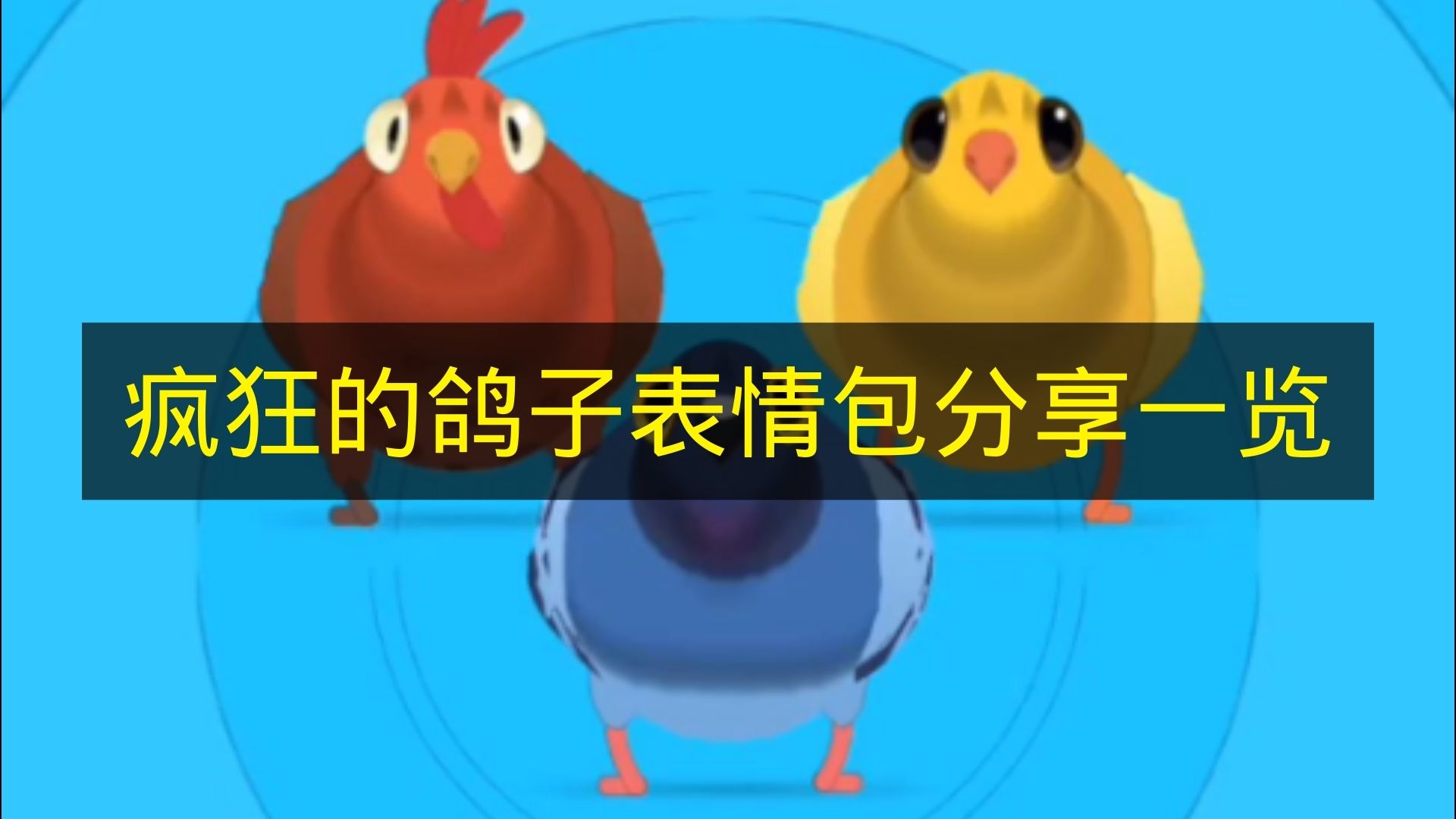 《疯狂的鸽子》表情包分享汇总