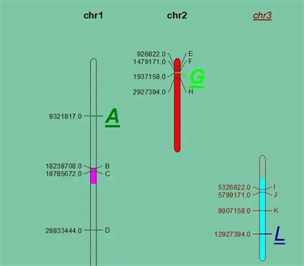 MapChart中文版(6)