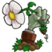 植物大战僵尸锤版