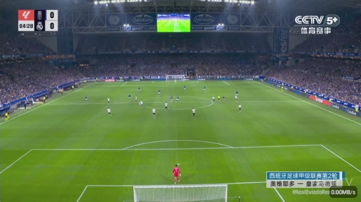 彩虹飞鸟稳定版截图1