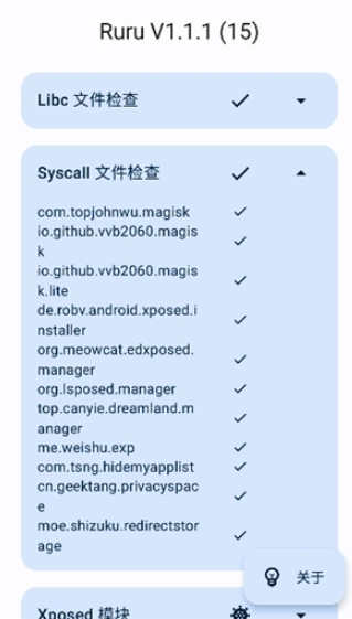 ruru环境检测老版