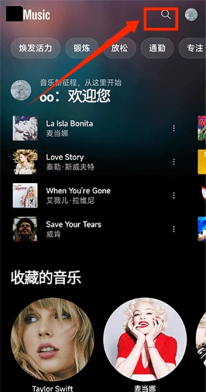 谷歌音乐播放器截图1