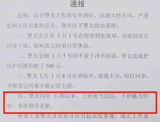 警犬因殴打同事、在战友床上小便被通报批评，警方作出回应