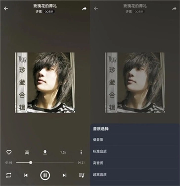 MusicFree音乐播放器