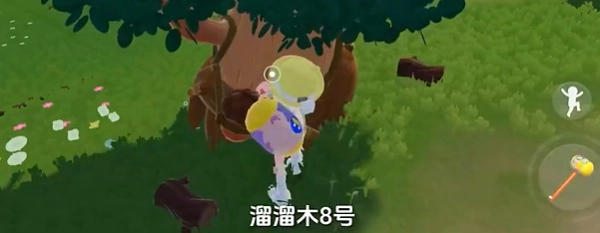 1月15日心动小镇里溜溜橡木和无暇荧石的采集位置信息