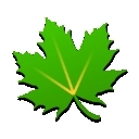 绿色守护捐赠版