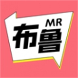 密斯布鲁直装版