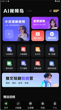 ai视频岛图5