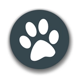 兽音译者在线翻译 v1.5