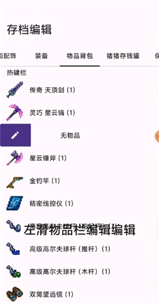 泰拉瑞亚存档编辑器游戏纯净最新版图1