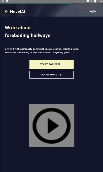 novelai绘画截图2