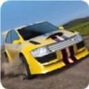 拉力赛车极限竞速安卓中文版