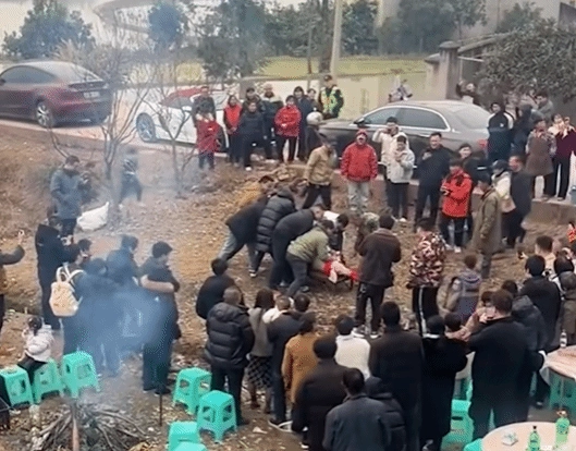 杀年猪活动意外频发！男子帮忙按猪遭踢致截瘫，邀约者需赔偿52万元