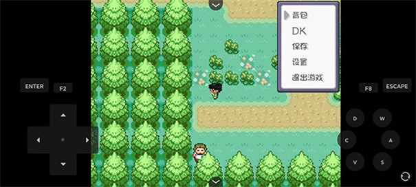 口袋妖怪蓝改版(1)