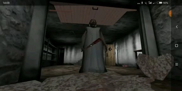 恐怖奶奶4中文菜单版(2)