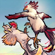 疯狂斗鸡场白斩鸡