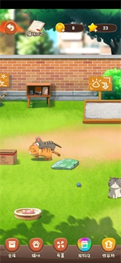 猫语咖啡图2