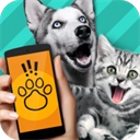 pettranslator动物语言翻译器最新免费版