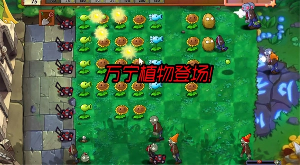 植物大战僵尸万宁版图4