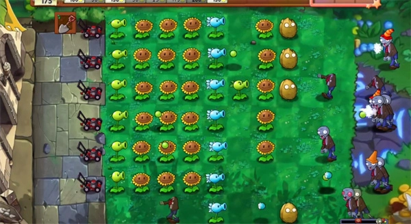 植物大战僵尸万宁版图5