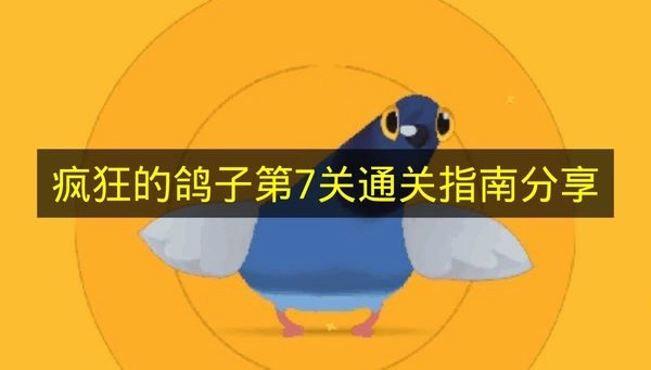 《疯狂的鸽子》第七关通关攻略，这就告诉你