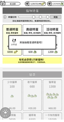 猫咪真的很可爱截图5