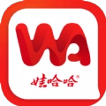 Hi娃哈哈