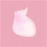 life生命模拟器手游直装版