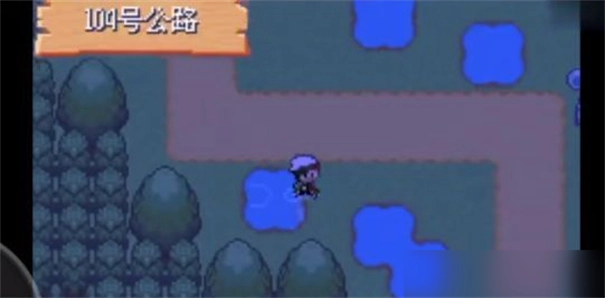 口袋妖怪究极绿宝石安装包图10