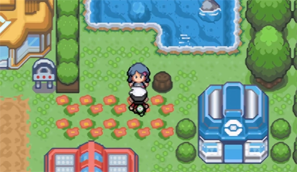 口袋妖怪究极绿宝石安装包图13