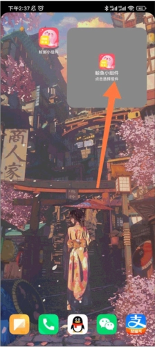 鲸鱼小组件软件