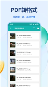 PDF转格式