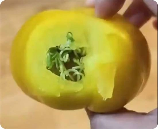 西红柿存放30天后内部生出类似“豆芽”的物质专家表示：通常情况下可以食用