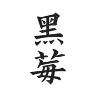 黑莓小说阅读器 v1.1