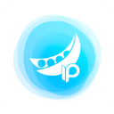 豌豆代理ip通用版