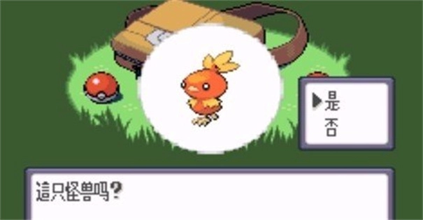 口袋妖怪蓝宝石中文版-图6