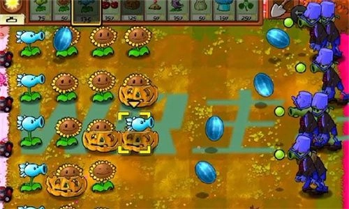 植物大战僵尸demoA版(1)