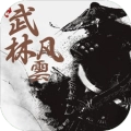 武林风云