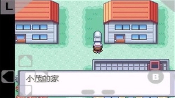 口袋妖怪火红-图2