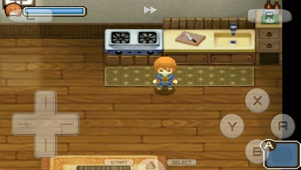 牧场物语双子村安卓直装版图2